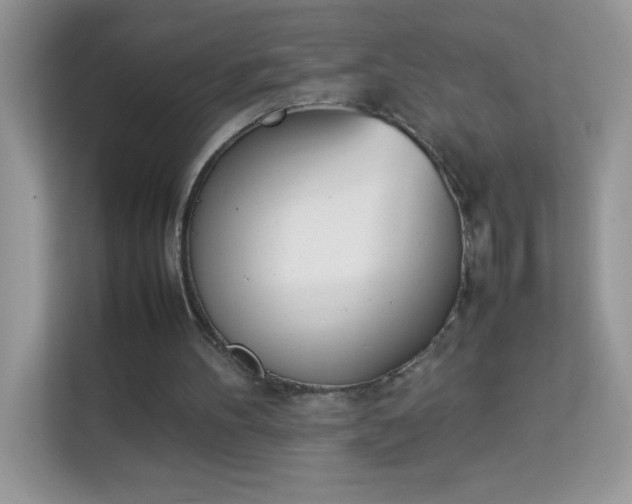 X0000114230100200910091456
