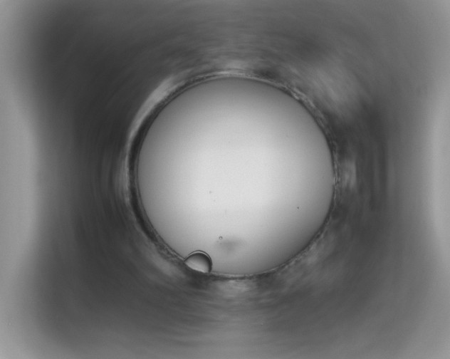 X0000114230102200910091456