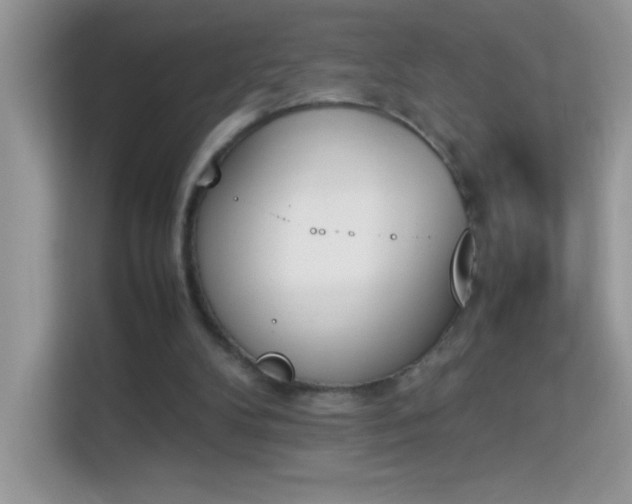 X0000114230104200910091456