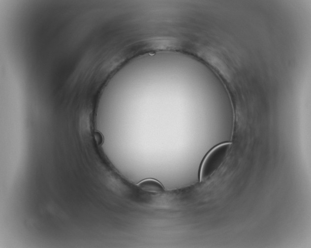 X0000114230105200910091456