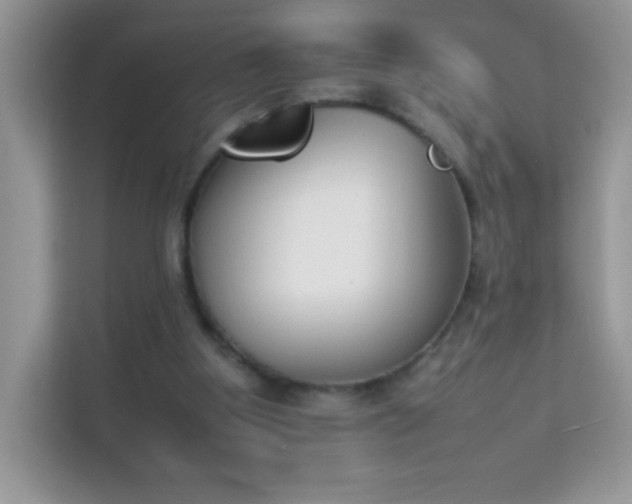 X0000114230107200910091456