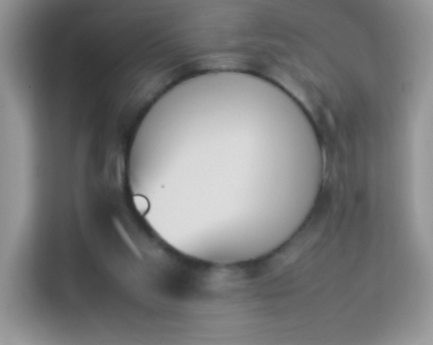 X0000114230109200910091456