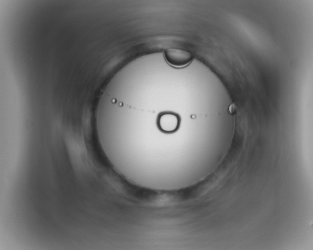 X0000114230111200910091456