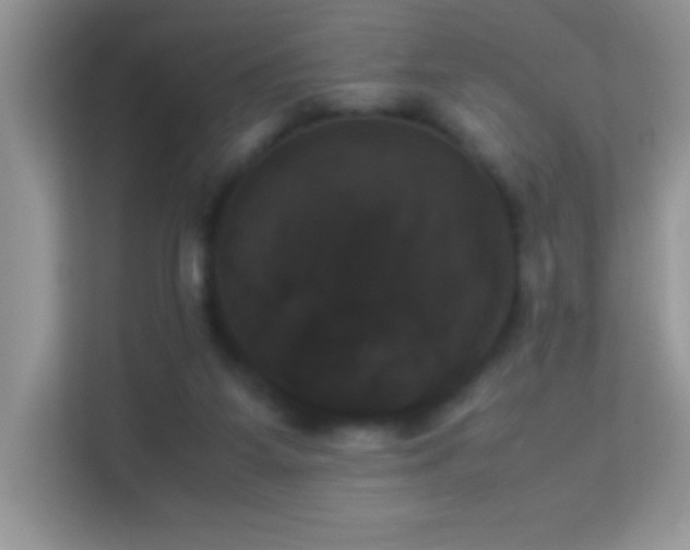X0000114230115200910091456