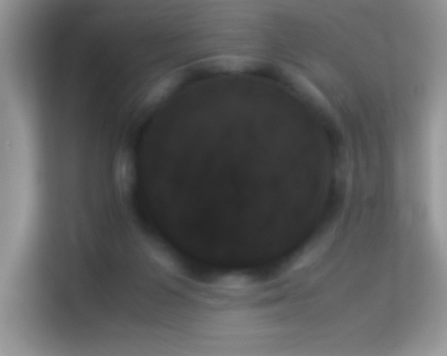 X0000114230119200910091456