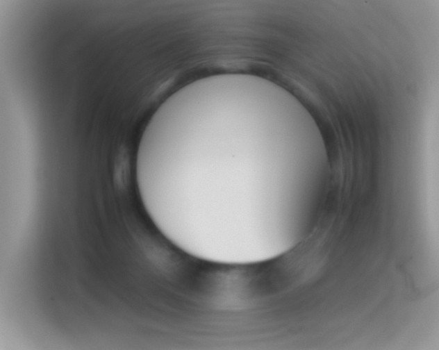 X0000114230120200910091456