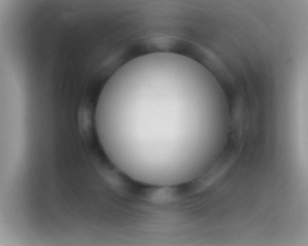 X0000114230122200910091456