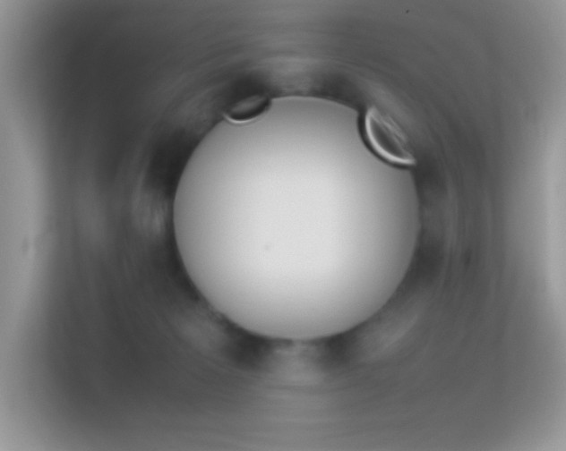 X0000114230125200910091456