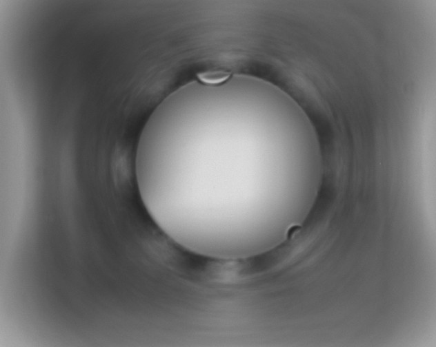 X0000114230131200910091456