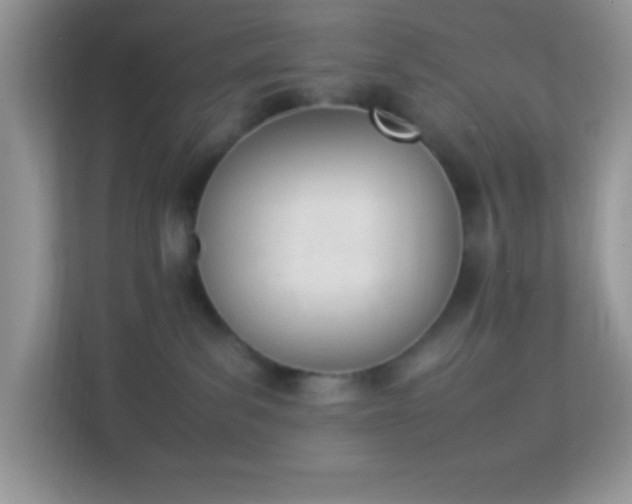 X0000114230139200910091456