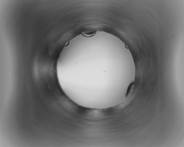 X0000114230140200910091456