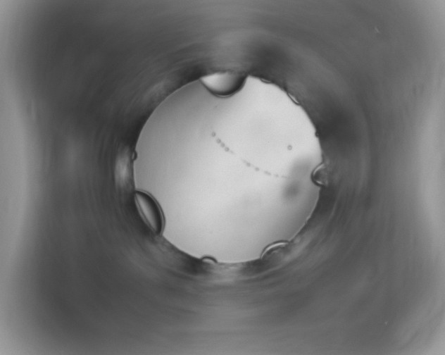 X0000114230143200910091456
