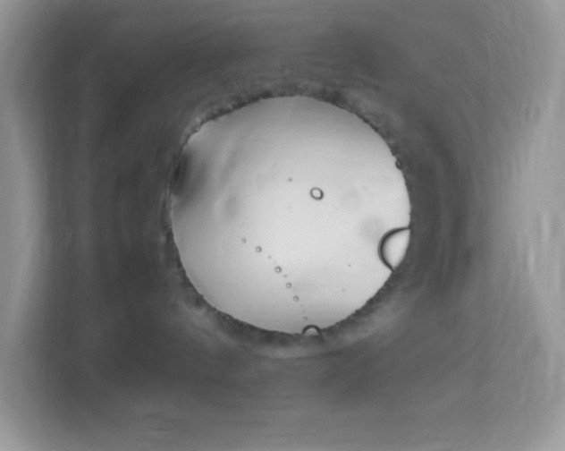 X0000114230144200910091456