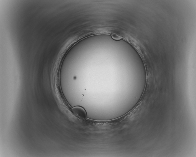 X0000114230145200910091455