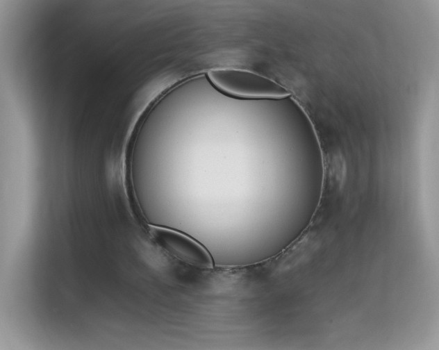 X0000114230148200910091455