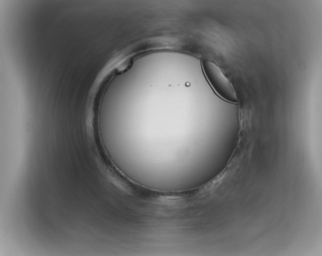 X0000114230150200910091455