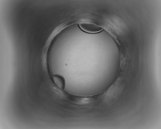 X0000114230151200910091455