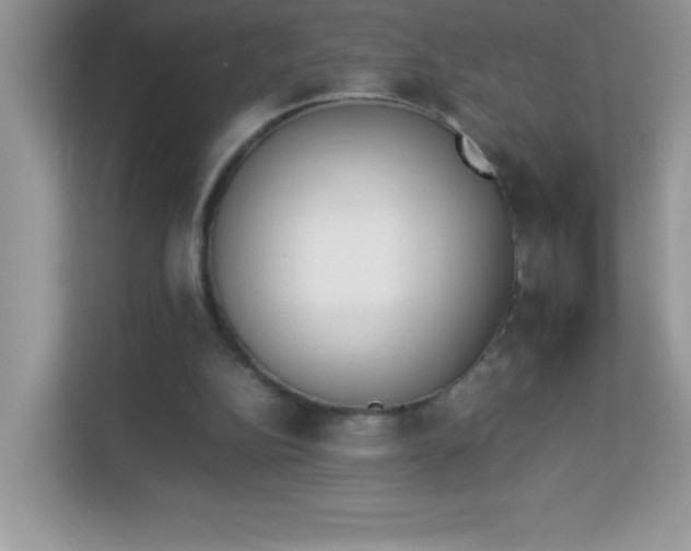 X0000114230152200910091455