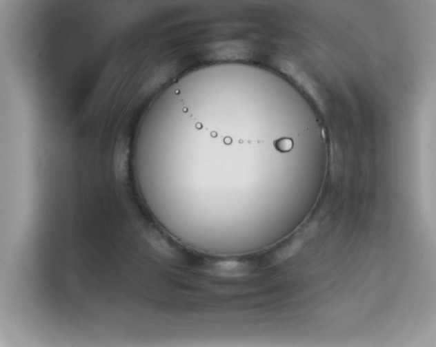 X0000114230153200910091455