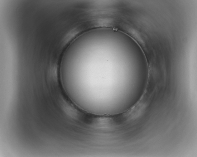 X0000114230154200910091455