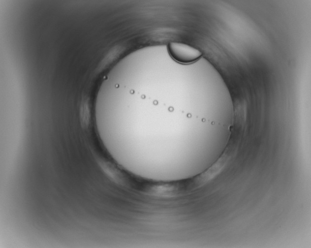 X0000114230158200910091455
