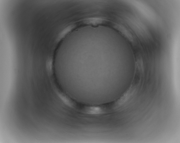 X0000114230159200910091455