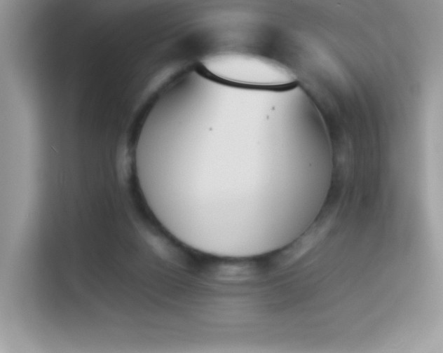 X0000114230160200910091455