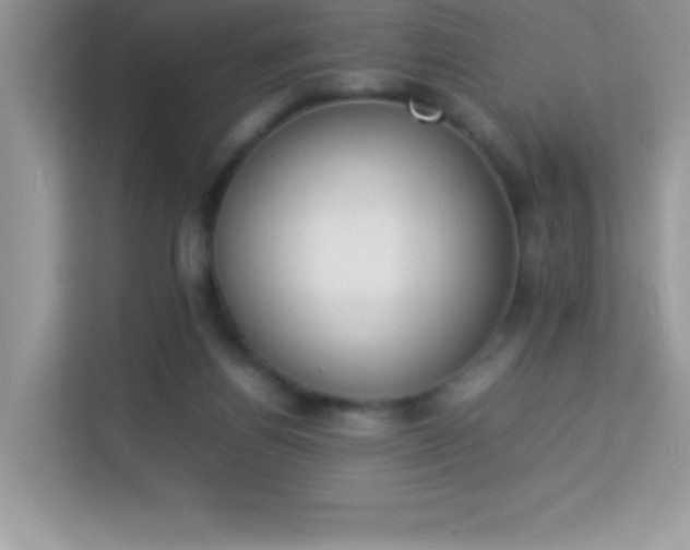 X0000114230164200910091455