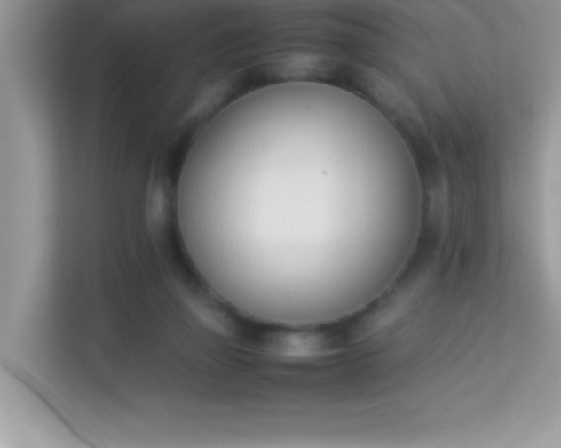 X0000114230165200910091455
