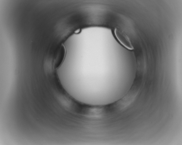 X0000114230168200910091455