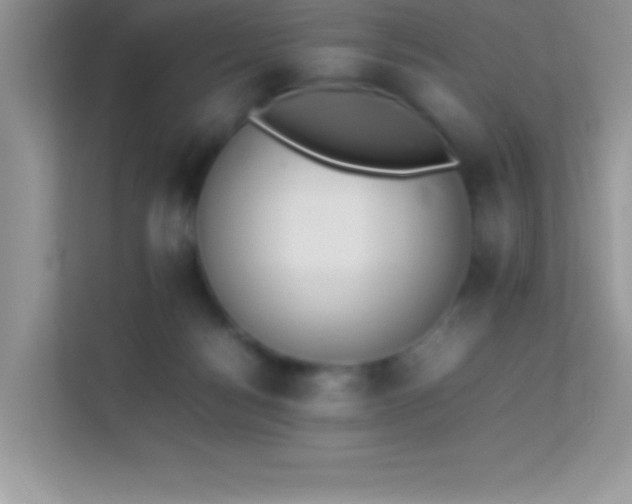 X0000114230172200910091456