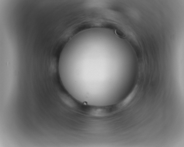 X0000114230174200910091456