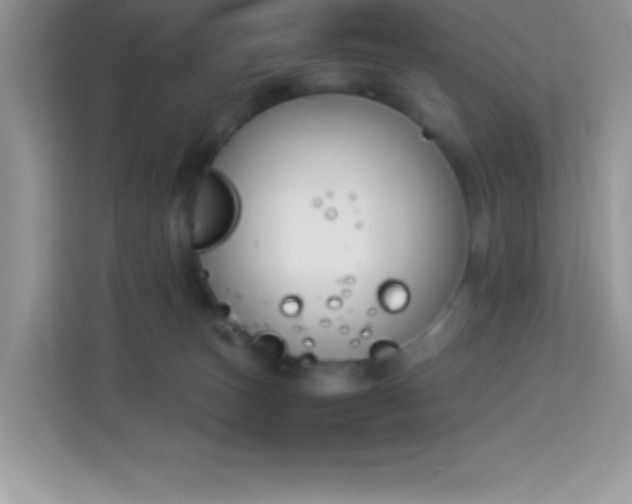 X0000114230179200910091456