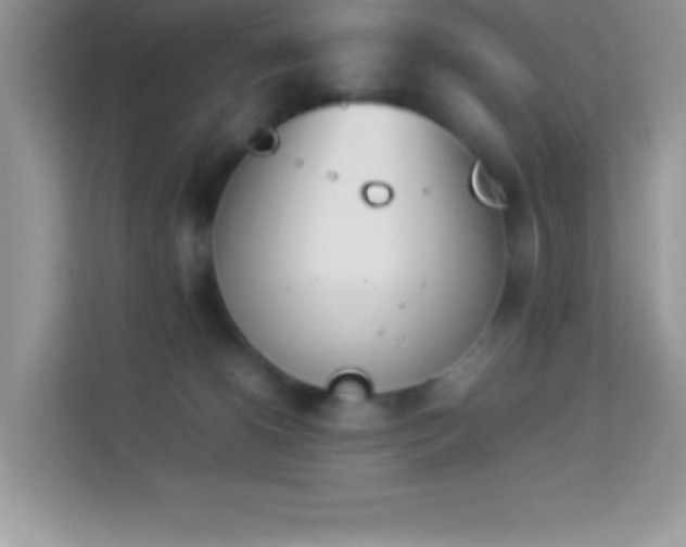 X0000114230180200910091456