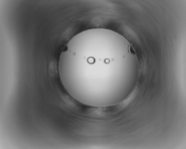 X0000114230182200910091456