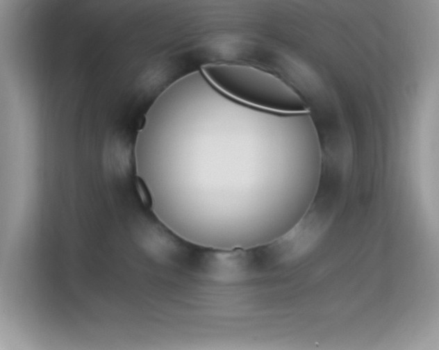 X0000114230188200910091456