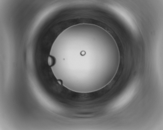 X0000114230189200910091456