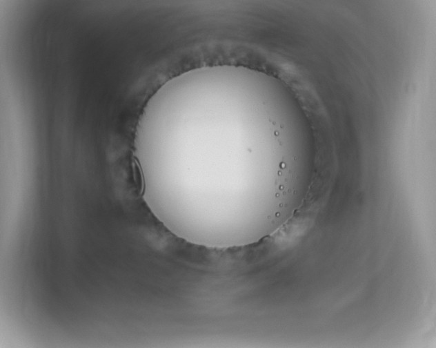 X0000114230192200910091456