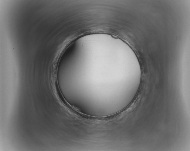 X0000114230193200910091455