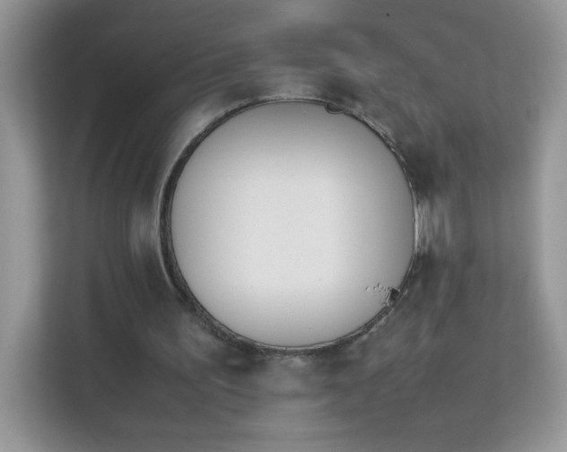 X0000114230195200910091455
