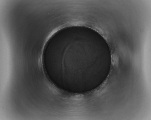 X0000114230196200910091455