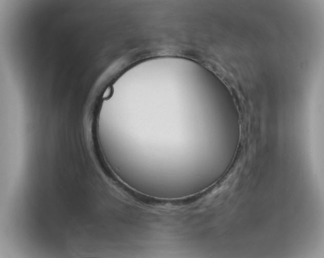 X0000114230197200910091455