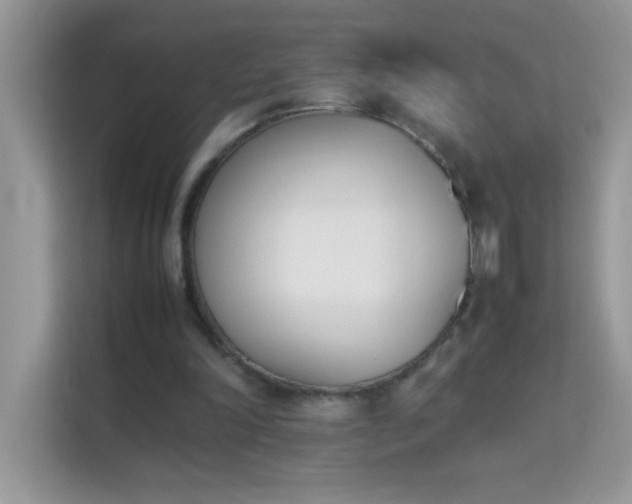 X0000114230198200910091455