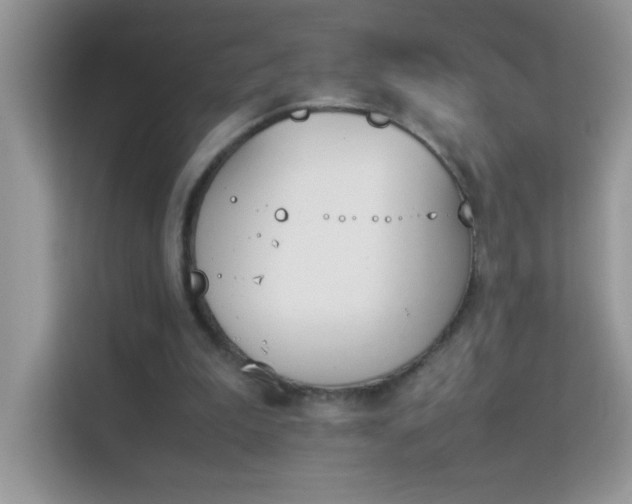 X0000114230199200910091455