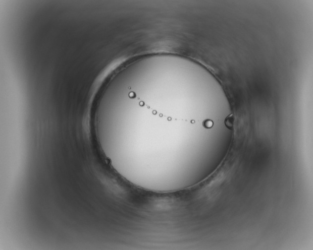 X0000114230200200910091455