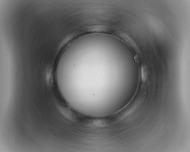 X0000114230204200910091455