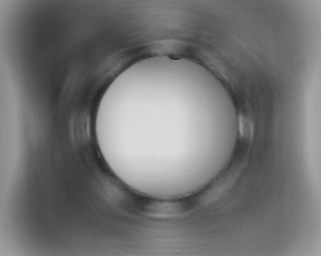 X0000114230205200910091455