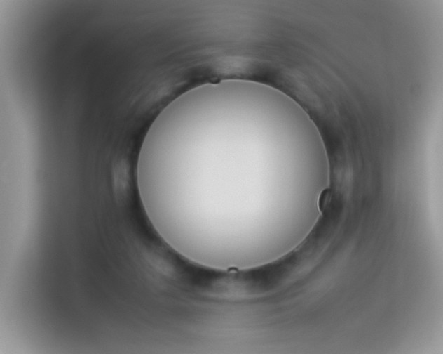 X0000114230211200910091455