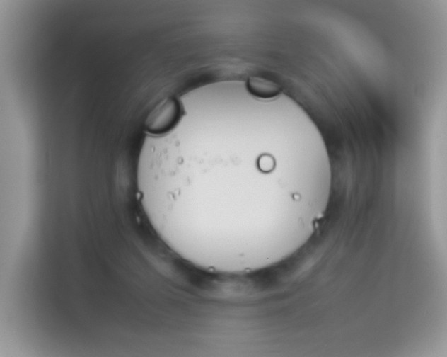 X0000114230215200910091455