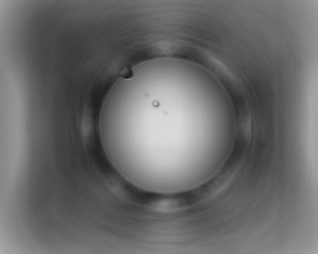 X0000114230220200910091455